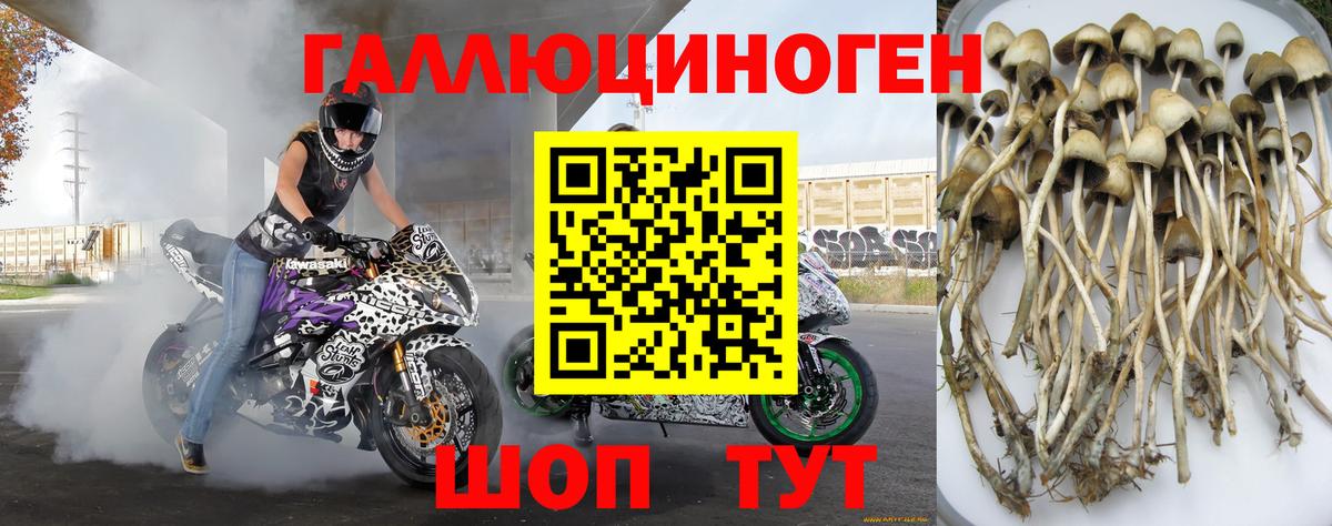 Галлюциногенные грибы мицелий Воронеж