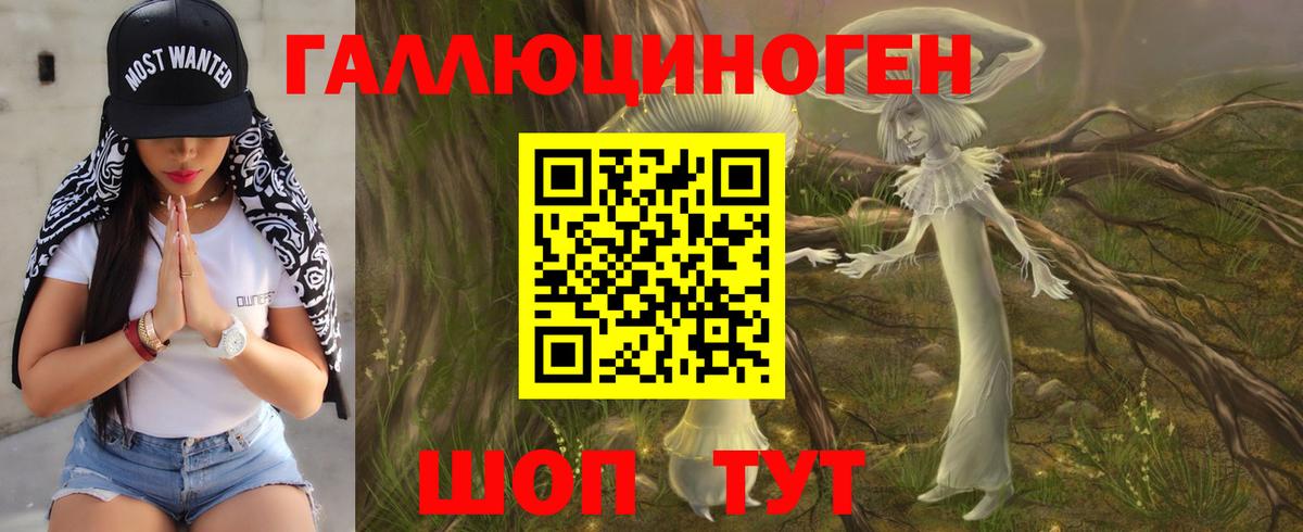 купить закладку  Галлюциногенные грибы Psilocybe  Вход с VPN  Воронеж 
